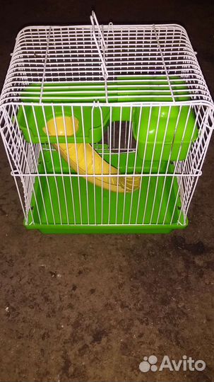 Клетка для грызунов
