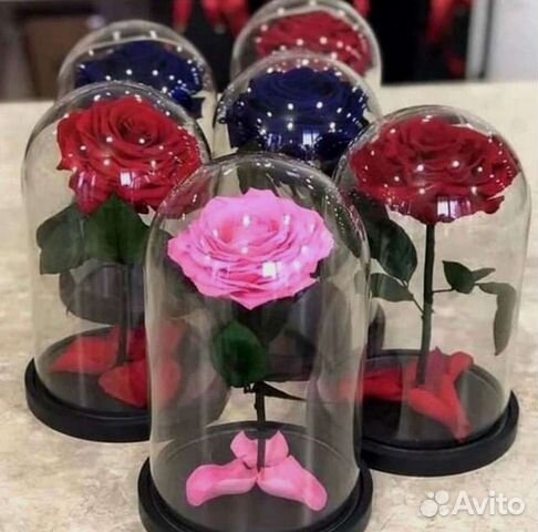 Роза в колбе. Неувядающая