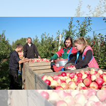 Рабочий в сад/Ежедневная Оплата