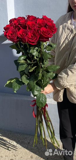 Высокие длинные розы гиганты