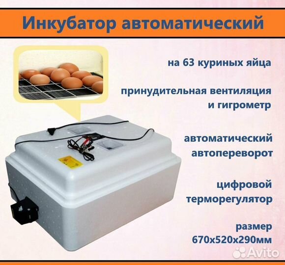 Инкубатор 63 яиц авт. поворот, цифр. терм. 12В