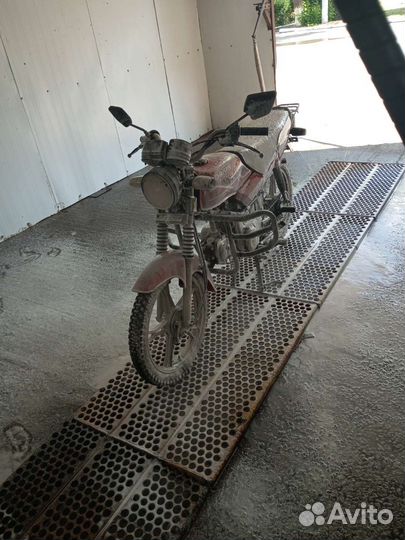 Orion Gryphon125