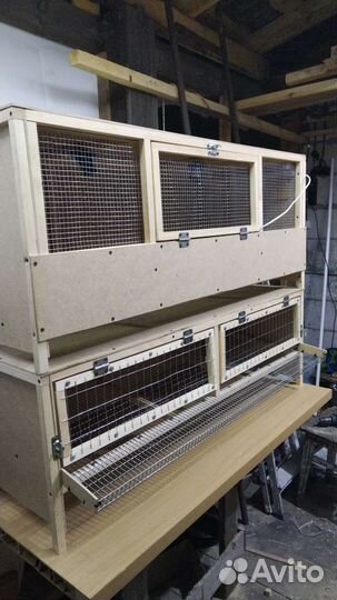 Брудер, брудер для цыплят