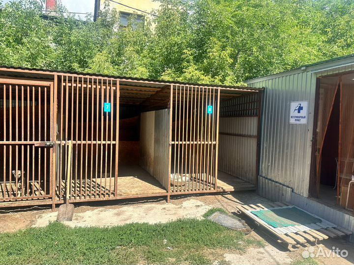 Готовый бизнес с госконтрактами