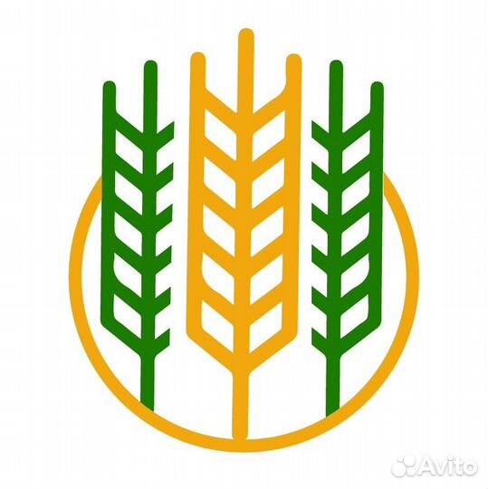 Водитель на зерновоз