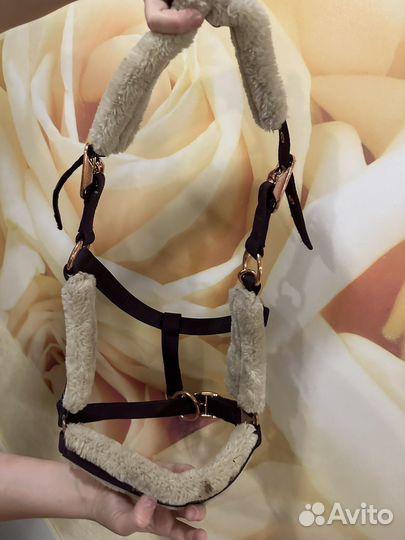 Недоуздок для лошади