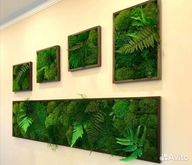 Мох стабилизированный фитокартина фитостена панно