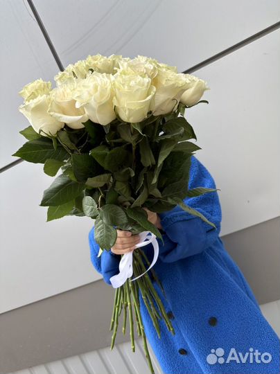 Розы Эквадор 80см Доставка Букет из роз