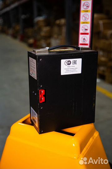 Электрическая рохля