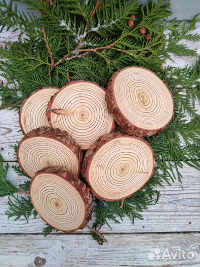 Спилы деревьев