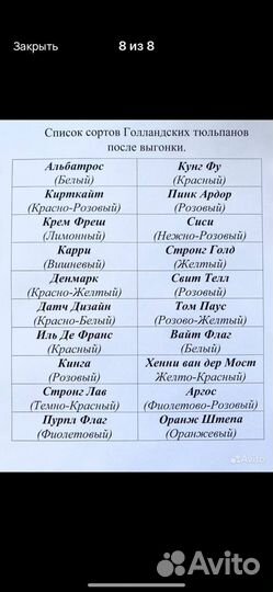 Луковицы Голландских Тюльпанов