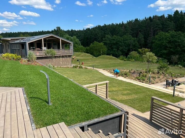 Рулонный газон с укладкой и гарантией