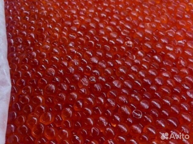 Красная икра 2024