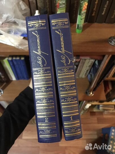 М.Ю.Лермонтов в 2 томах