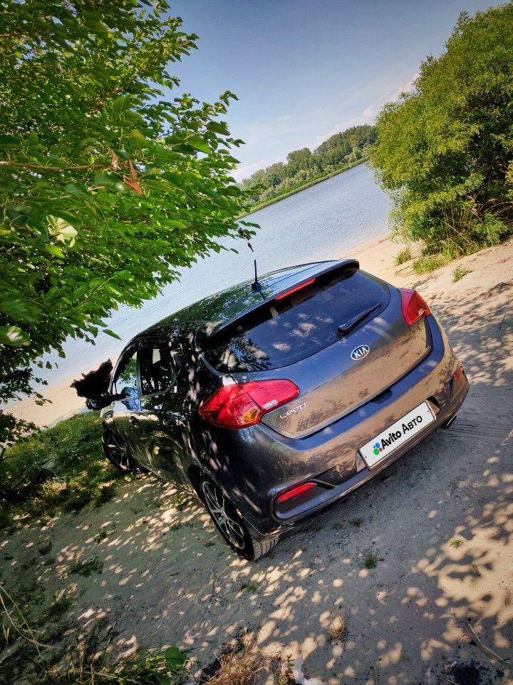 Kia Ceed: фото владельца