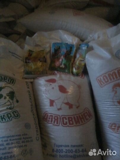 Комбикорм, пшеница, овёс, отруби и др