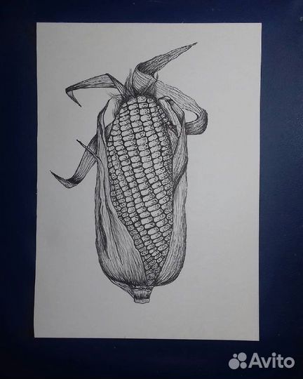 Рисунок графика