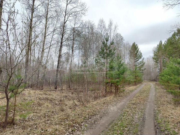 Участок 9,7 га (СНТ, ДНП)