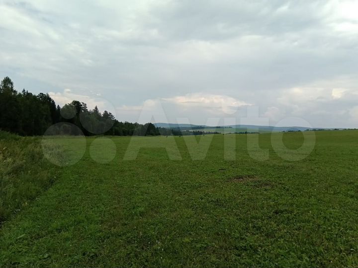 Участок 4,19 га (СНТ, ДНП)