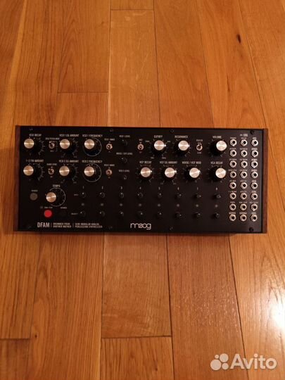 Moog dfam