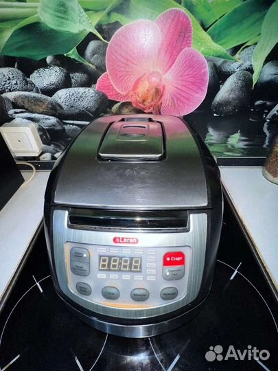 Мультиварка leran fca502