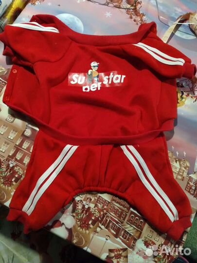 Одежда для животных