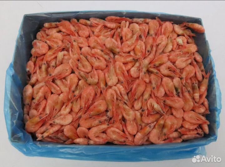Креветки северные.морепродукты.пресервы форели
