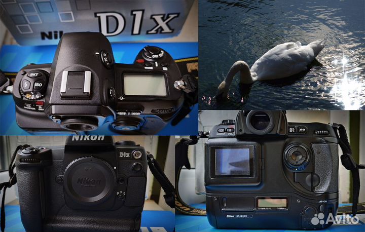 Nikon D1X CCD супер цвет