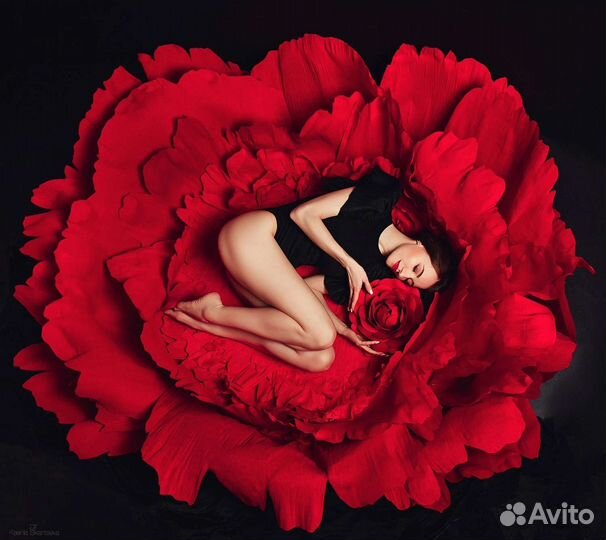 Фотосессия в студии. Аренда фотостудии. Фотограф