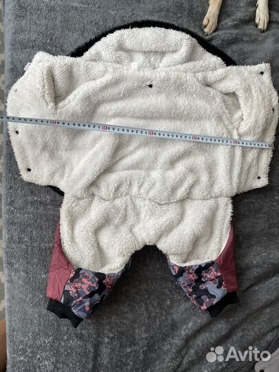 Одежда для собак комбинезон