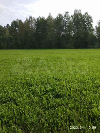 Участок 2 га (ИЖС)