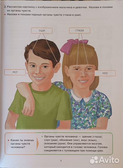 Развитие речи. Мир человека