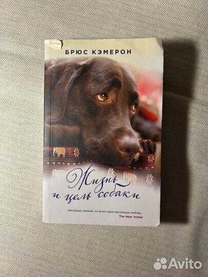 Книга Брюс Кэмерон Жизнь и цель собаки