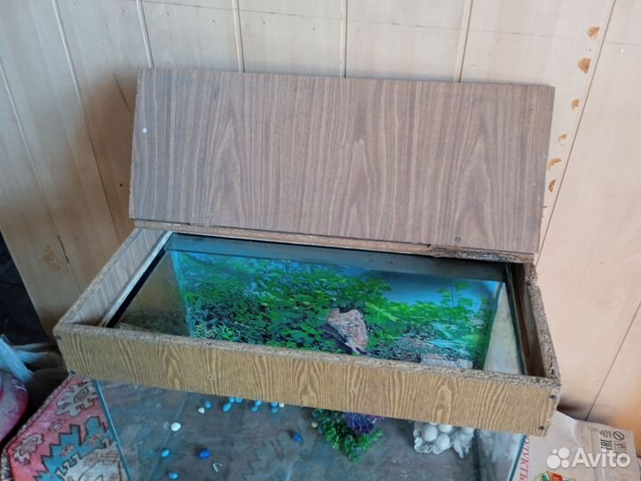 Аквариум