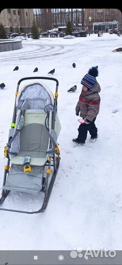 Коляска санки