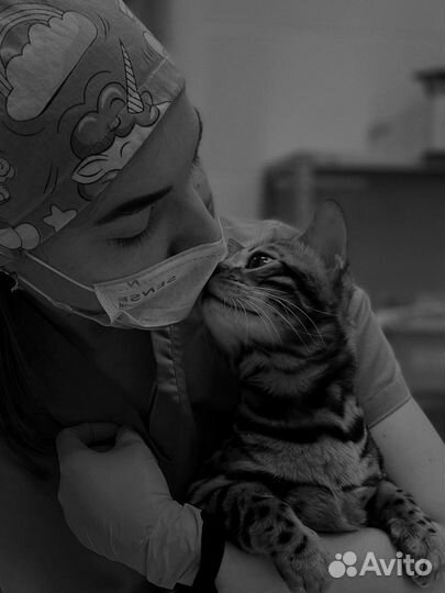 Ветеринарный врач на дом круглосуточно