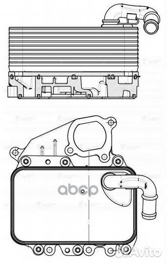 Кулер масл.в сборе с фланцем VW toureg II (10)