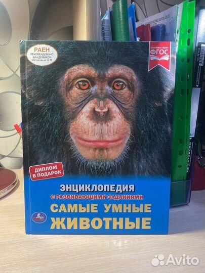 Энциклопедия с развивающими заданиями