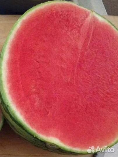 Семена арбуза