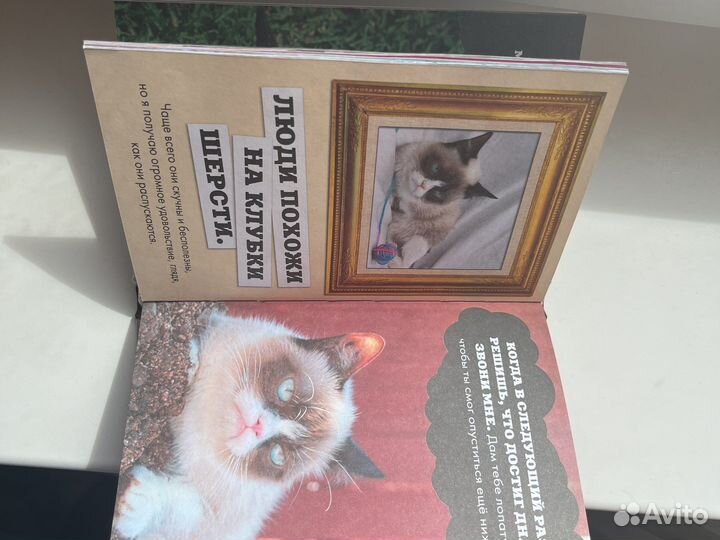 Grumpy cat сердитая кошка книга