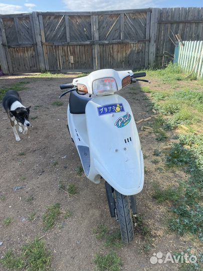 Honda Pal