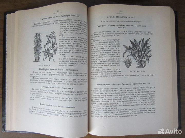 Аквариум любителя