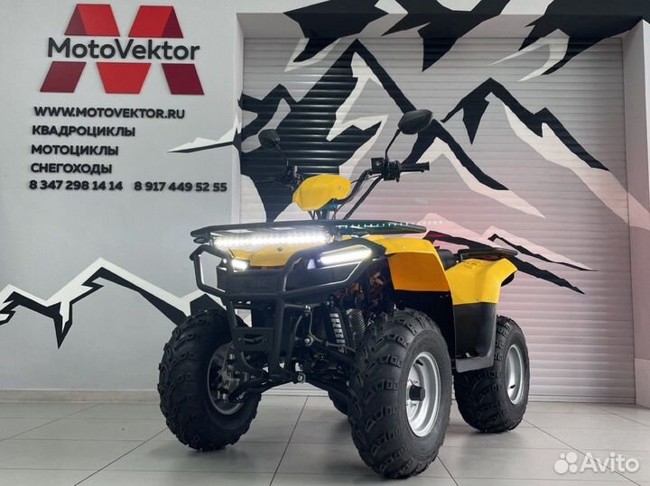 Квадроцикл irbis ATV 200 (птс)