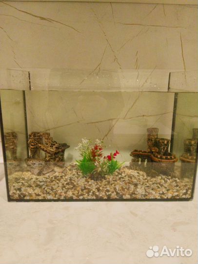 Аквариум