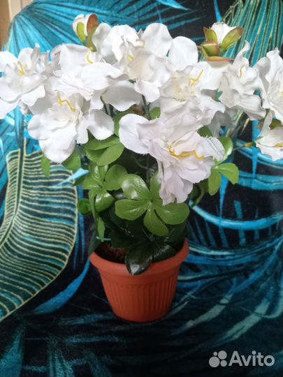 Цветок комнатный искусственный, возможно каланхоэ