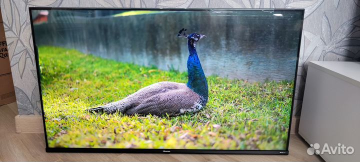 Новый qled Hisense 43E7HQ 43