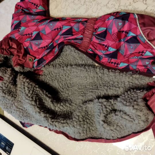 Обувь/одежда для животных