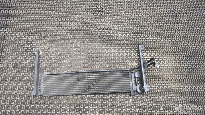 Радиатор масляный Volkswagen Tiguan, 2012