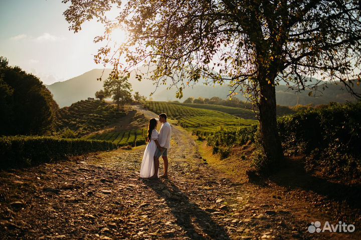 Видеосъёмка в Сочи. Съёмки клипов в Сочи/Адлер