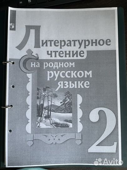 Литература на родном языке и русский